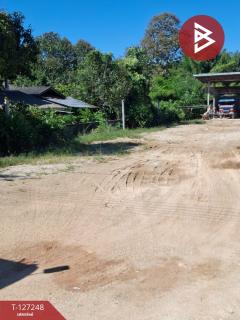 ขายโกดังพร้อมที่ดิน เนื้อที่ 3 งาน 58 ตร.วา เทิง เชียงราย-202511241140061763959206650.jpg