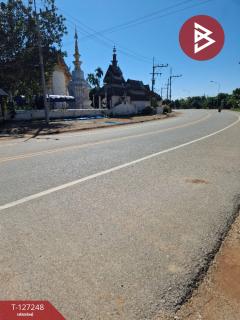 ขายโกดังพร้อมที่ดิน เนื้อที่ 3 งาน 58 ตร.วา เทิง เชียงราย-202511241140081763959208319.jpg