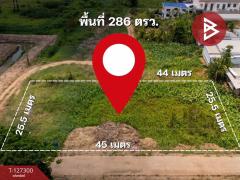 ขายที่ดินแปลงสวย-เนื้อที่-2-งาน-86-ตร.ว