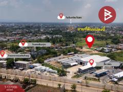 ขายที่ดินแปลงสวย เนื้อที่ 2 งาน 86 ตร.วา วัดจันทร์ พิษณุโลก-202511241229251763962165296.jpg
