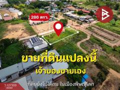 ขายที่ดินแปลงสวย เนื้อที่ 2 งาน 86 ตร.วา วัดจันทร์ พิษณุโลก-202511241229261763962166391.jpg