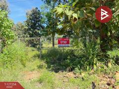 ขายที่ดิน เนื้อที่ 13 ไร่ 2 งาน 91.8 ตร.วา แม่แตง เชียงใหม่