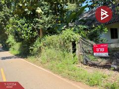 ขายที่ดิน เนื้อที่ 13 ไร่ 2 งาน 91.8 ตร.วา แม่แตง เชียงใหม่-202511241235161763962516152.jpg