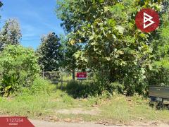 ขายที่ดิน เนื้อที่ 13 ไร่ 2 งาน 91.8 ตร.วา แม่แตง เชียงใหม่-202511241235161763962516718.jpg