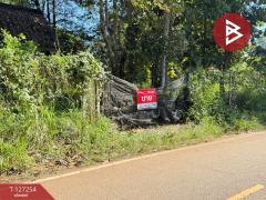 ขายที่ดิน เนื้อที่ 13 ไร่ 2 งาน 91.8 ตร.วา แม่แตง เชียงใหม่-202511241235171763962517282.jpg