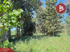 ขายที่ดิน เนื้อที่ 13 ไร่ 2 งาน 91.8 ตร.วา แม่แตง เชียงใหม่-202511241235201763962520437.jpg