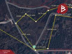 ขายที่ดิน เนื้อที่ 13 ไร่ 2 งาน 91.8 ตร.วา แม่แตง เชียงใหม่-202511241235231763962523815.jpg