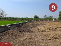 ขายที่ดิน เนื้อที่ 2 ไร่ พุทธมณฑล นครปฐม-202511241246461763963206392.jpg