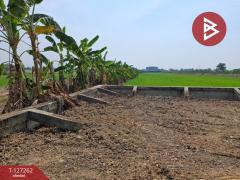 ขายที่ดิน เนื้อที่ 2 ไร่ พุทธมณฑล นครปฐม-202511241246461763963206946.jpg