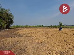 ขายที่ดิน เนื้อที่ 2 ไร่ พุทธมณฑล นครปฐม-202511241246481763963208042.jpg