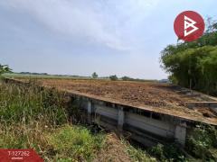 ขายที่ดิน เนื้อที่ 2 ไร่ พุทธมณฑล นครปฐม-202511241246491763963209144.jpg