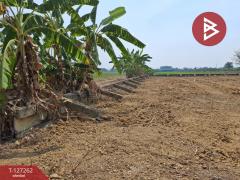 ขายที่ดิน เนื้อที่ 2 ไร่ พุทธมณฑล นครปฐม-202511241246491763963209688.jpg