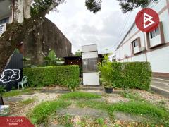 ขายที่ดิน เนื้อที่ 41.5 ตร.วา ทับเที่ยง ตรัง-202511241251061763963466295.jpg