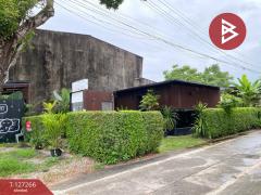 ขายที่ดิน เนื้อที่ 41.5 ตร.วา ทับเที่ยง ตรัง-202511241251061763963466863.jpg