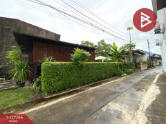 ขายที่ดิน เนื้อที่ 41.5 ตร.วา ทับเที่ยง ตรัง-202511241251081763963468532.jpg