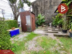 ขายที่ดิน เนื้อที่ 41.5 ตร.วา ทับเที่ยง ตรัง-202511241251091763963469084.jpg