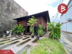 ขายที่ดิน เนื้อที่ 41.5 ตร.วา ทับเที่ยง ตรัง-202511241251091763963469644.jpg