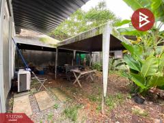 ขายที่ดิน เนื้อที่ 41.5 ตร.วา ทับเที่ยง ตรัง-202511241251111763963471458.jpg