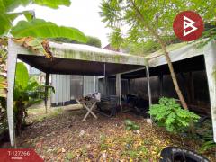 ขายที่ดิน เนื้อที่ 41.5 ตร.วา ทับเที่ยง ตรัง-202511241251121763963472290.jpg