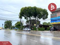 ขายที่ดิน เนื้อที่ 41.5 ตร.วา ทับเที่ยง ตรัง-202511241251131763963473391.jpg