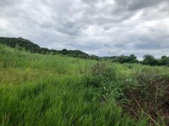 ขายที่ดิน ขนาดใหญ่ เนื้อที่ 142 ไร่ 29 ตรว ติดภูเขาและน้ำตก ธารใจใส ต.พญาเย็น ปากช่อง นครราชสีมา เหมาะกับรีสอร์ต ฟาร์ม หรือโฮมสเตย์ ราคาต่อรองได้-202511241305301763964330151.jpg