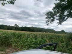 ขายที่ดิน ขนาดใหญ่ เนื้อที่ 142 ไร่ 29 ตรว ติดภูเขาและน้ำตก ธารใจใส ต.พญาเย็น ปากช่อง นครราชสีมา เหมาะกับรีสอร์ต ฟาร์ม หรือโฮมสเตย์ ราคาต่อรองได้-202511241305301763964330667.jpg