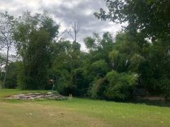 ขายที่ดิน ขนาดใหญ่ เนื้อที่ 142 ไร่ 29 ตรว ติดภูเขาและน้ำตก ธารใจใส ต.พญาเย็น ปากช่อง นครราชสีมา เหมาะกับรีสอร์ต ฟาร์ม หรือโฮมสเตย์ ราคาต่อรองได้-202511241305311763964331172.jpg