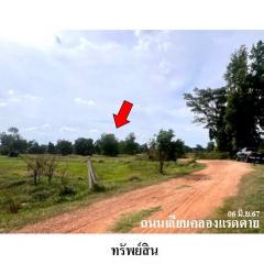 ขายที่ดินว่างเปล่า ถนน เลียบคลองแรดตาย ตำบล ท่าข้าม อำเภอ อรัญประเทศ จังหวัด สระแก้ว