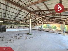 ขายบ้านเดี่ยวพร้อมที่ดิน เนื้อที่ 1 ไร่ 26 ตร.วา กำแพงแสน นครปฐม-202511241430391763969439304.jpg