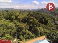 ขายที่ดิน เนื้อที่ 1 ไร่ 62 ตร.วา แม่แตง เชียงใหม่-202511241453251763970805482.jpg