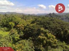 ขายที่ดิน เนื้อที่ 1 ไร่ 62 ตร.วา แม่แตง เชียงใหม่-202511241453261763970806026.jpg