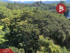 ขายที่ดิน เนื้อที่ 1 ไร่ 62 ตร.วา แม่แตง เชียงใหม่-202511241453271763970807112.jpg