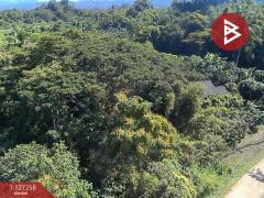 ขายที่ดิน เนื้อที่ 1 ไร่ 62 ตร.วา แม่แตง เชียงใหม่-202511241453281763970808024.jpg