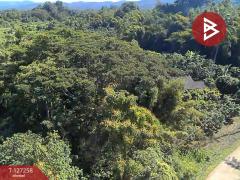 ขายที่ดิน เนื้อที่ 1 ไร่ 62 ตร.วา แม่แตง เชียงใหม่-202511241453291763970809119.jpg