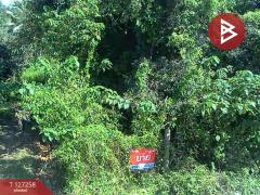 ขายที่ดิน เนื้อที่ 1 ไร่ 62 ตร.วา แม่แตง เชียงใหม่-202511241453291763970809659.jpg