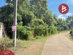 ขายที่ดิน เนื้อที่ 1 ไร่ 62 ตร.วา แม่แตง เชียงใหม่-202511241453301763970810270.jpg