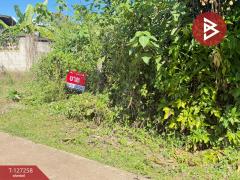 ขายที่ดิน เนื้อที่ 1 ไร่ 62 ตร.วา แม่แตง เชียงใหม่-202511241453301763970810819.jpg