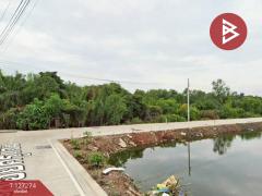 ขายที่ดินพร้อมสิ่งปลูกสร้าง เนื้อที่ 1 ไร่ 2 งาน 50 ตร.วา พระสมุทรเจดีย์ สมุทรปราการ-202511241458111763971091662.jpg