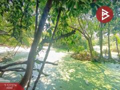 ขายที่ดินพร้อมสิ่งปลูกสร้าง เนื้อที่ 1 ไร่ 2 งาน 50 ตร.วา พระสมุทรเจดีย์ สมุทรปราการ-202511241458141763971094430.jpg