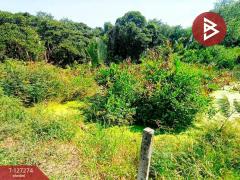 ขายที่ดินพร้อมสิ่งปลูกสร้าง เนื้อที่ 1 ไร่ 2 งาน 50 ตร.วา พระสมุทรเจดีย์ สมุทรปราการ-202511241458141763971094986.jpg