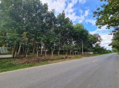 ขายที่ดินสวนยาง 2.40 ไร่ พร้อมโฉนด เหมาะแก่การลงทุน หลังวิทยาลัยการอาชีพปัว ต.ปัว จ.น่าน -202511241531491763973109157.jpg