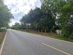 ขายที่ดินสวนยาง 2.40 ไร่ พร้อมโฉนด เหมาะแก่การลงทุน หลังวิทยาลัยการอาชีพปัว ต.ปัว จ.น่าน -202511241531491763973109677.jpg