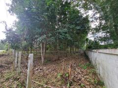 ขายที่ดินสวนยาง 2.40 ไร่ พร้อมโฉนด เหมาะแก่การลงทุน หลังวิทยาลัยการอาชีพปัว ต.ปัว จ.น่าน -202511241531511763973111253.jpg