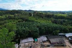 ขายที่ดินสวนยาง 2.40 ไร่ พร้อมโฉนด เหมาะแก่การลงทุน หลังวิทยาลัยการอาชีพปัว ต.ปัว จ.น่าน -202511241531561763973116059.jpg