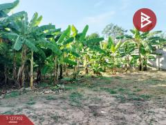 ขายที่ดิน-เนื้อที่-2-งาน-ในเมือง-พิษณ