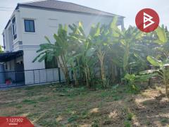 ขายที่ดิน เนื้อที่ 2 งาน ในเมือง พิษณุโลก-202511241548231763974103444.jpg