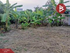 ขายที่ดิน เนื้อที่ 2 งาน ในเมือง พิษณุโลก-202511241548251763974105717.jpg