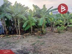 ขายที่ดิน เนื้อที่ 2 งาน ในเมือง พิษณุโลก-202511241548271763974107332.jpg