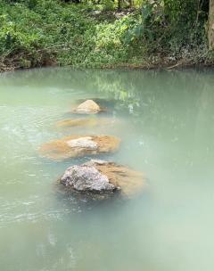 ขายที่ดินสวย ติดน้ำ พร้อมผลไม้ – ต.นาหินลาด อ.ปากพลี จ.นครนายก