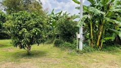 ขายที่ดินสวย ติดน้ำ พร้อมผลไม้ – ต.นาหินลาด อ.ปากพลี จ.นครนายก-202511241552051763974325947.jpg